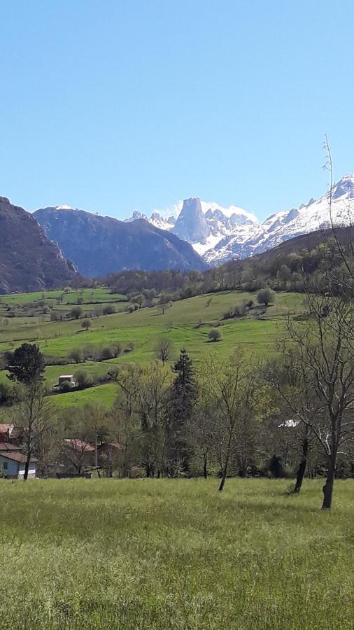 La Casa De La Vega Villa Arenas De Cabrales Kültér fotó